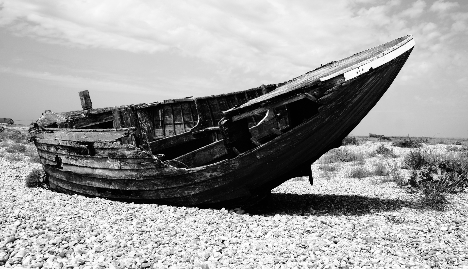Dungeness Relic